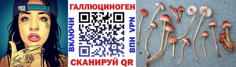 Купить закладки  Краснотурьинск  Псилоцибиновые грибы мухоморы 